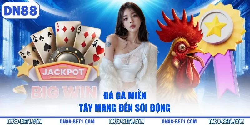 Đá gà miền Tây mang đến sôi động