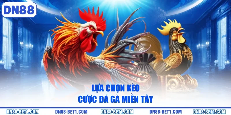 Lựa chọn kèo cược đá gà miền Tây