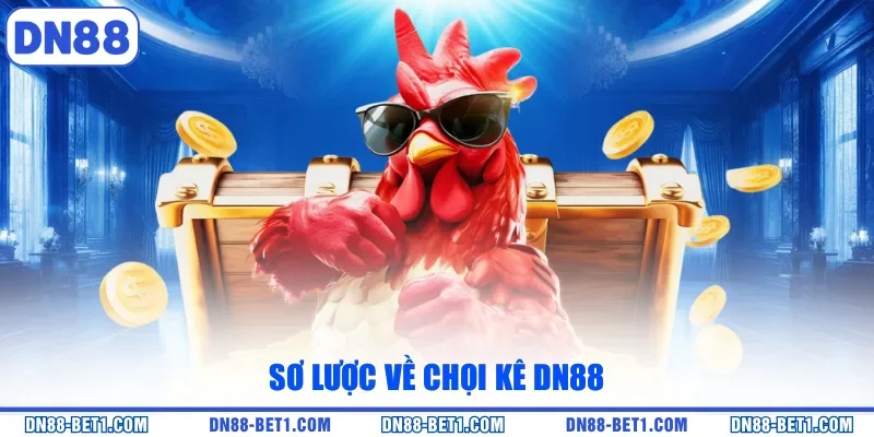 Sơ lược về chọi kê DN88 